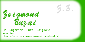 zsigmond buzai business card